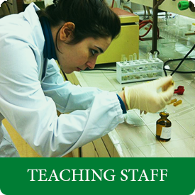 teaching staff