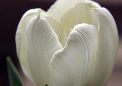 L’Ateneo al fianco delle studentesse e degli studenti iraniani